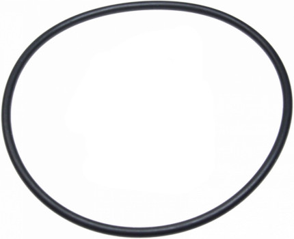 O-Ring for Fuel pump saab Fuel pump
