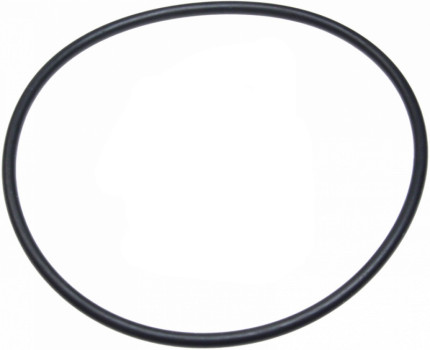 O-Ring for Fuel pump saab Fuel system