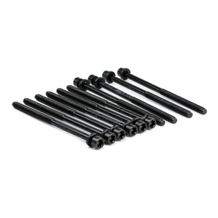 set of 10 cylinder head bolts for saab diesel 1L9 9.5 - 9.5 NG and 9.3II Head cylinder parts